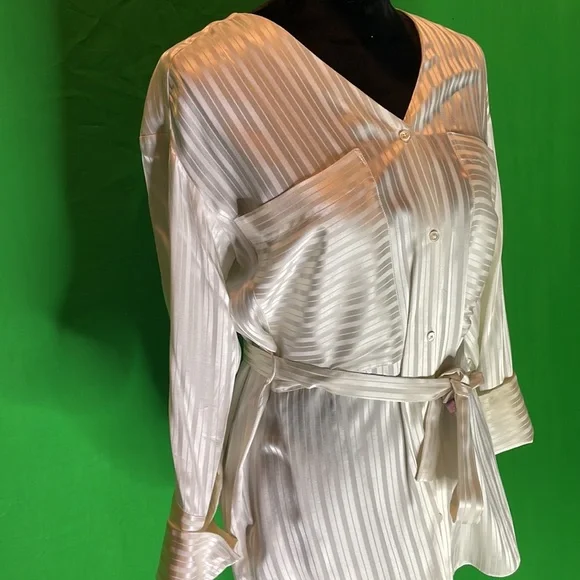 Aritzia, Zelle shirt, belted , Blouse Silk - Picture 9 of 11